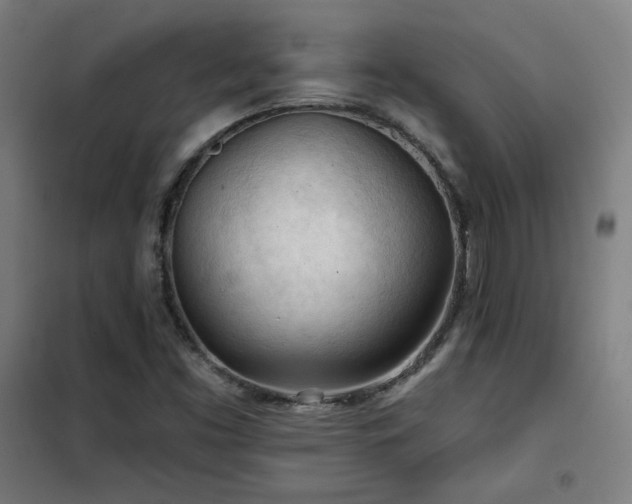 X0000102281453200807251347
