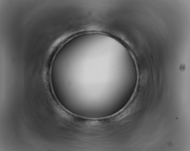 X0000102281454200807251347
