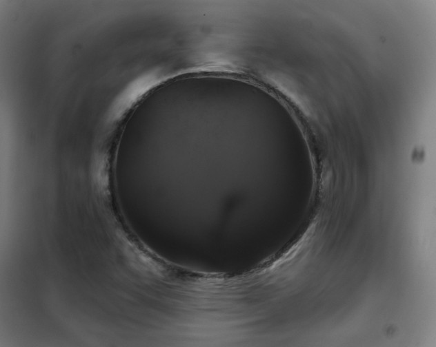 X0000102281455200807251347