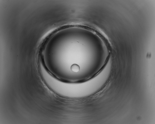 X0000102281456200807251347