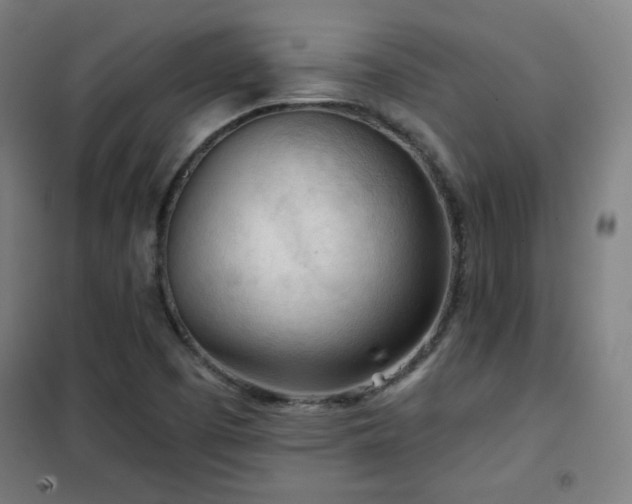 X0000102281457200807251347