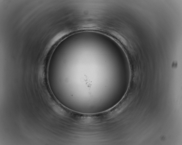 X0000102281458200807251347