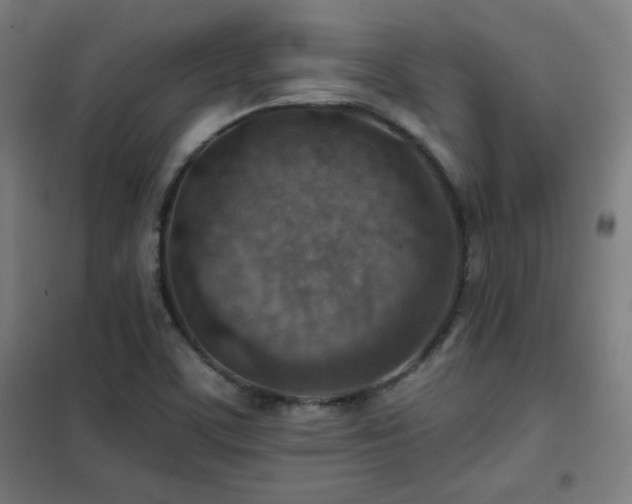X0000102281459200807251347