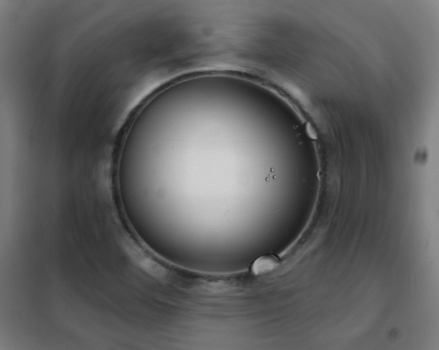 X0000102281460200807251347