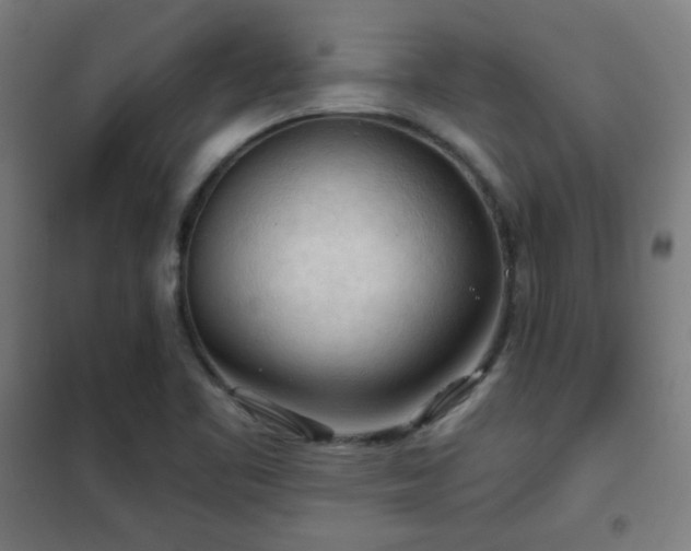 X0000102281461200807251347