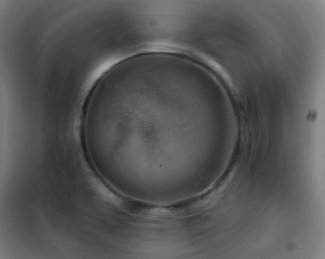 X0000102281463200807251347