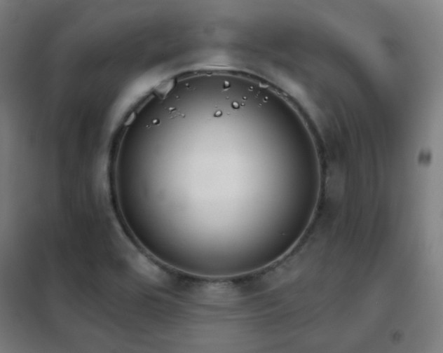 X0000102281464200807251347