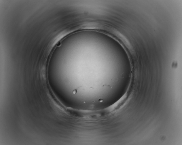 X0000102281465200807251347