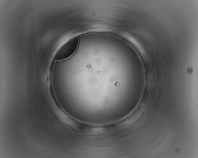 X0000102281467200807251347