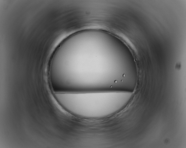 X0000102281468200807251347