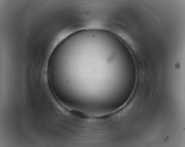 X0000102281469200807251347