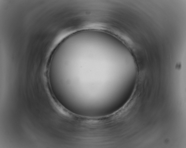X0000102281470200807251347
