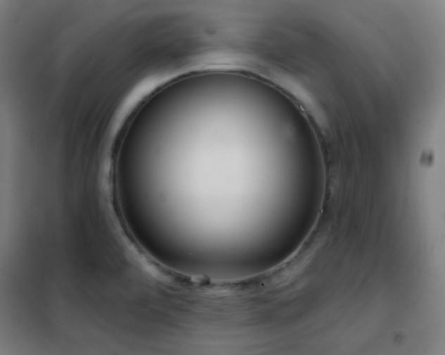X0000102281472200807251347