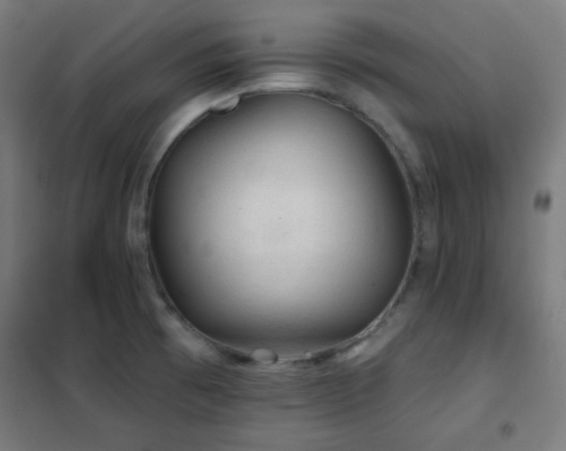 X0000102281473200807251347