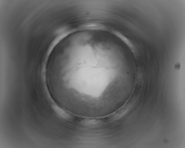 X0000102281474200807251347