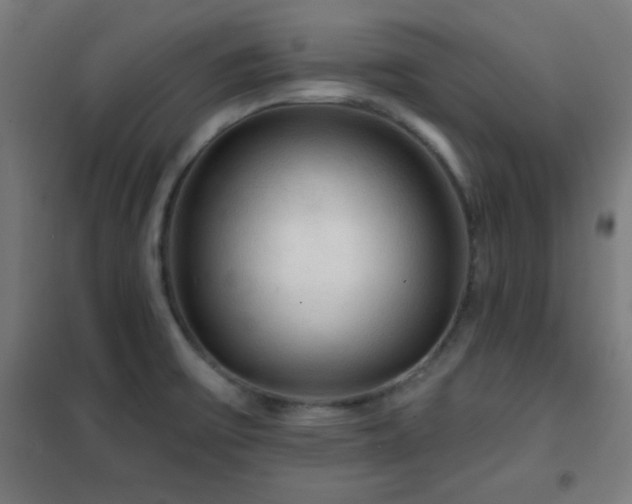 X0000102281475200807251347