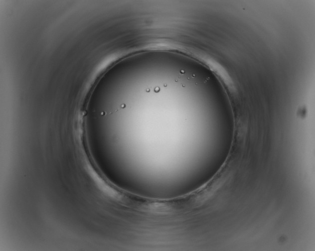 X0000102281476200807251347