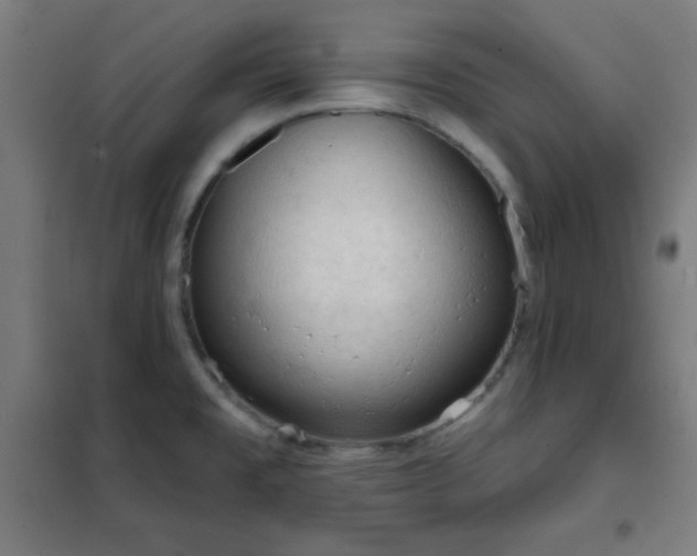 X0000102281477200807251347