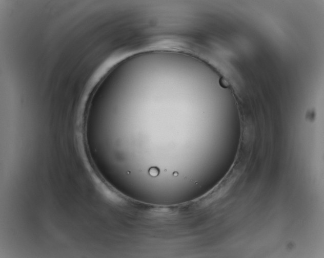 X0000102281478200807251347