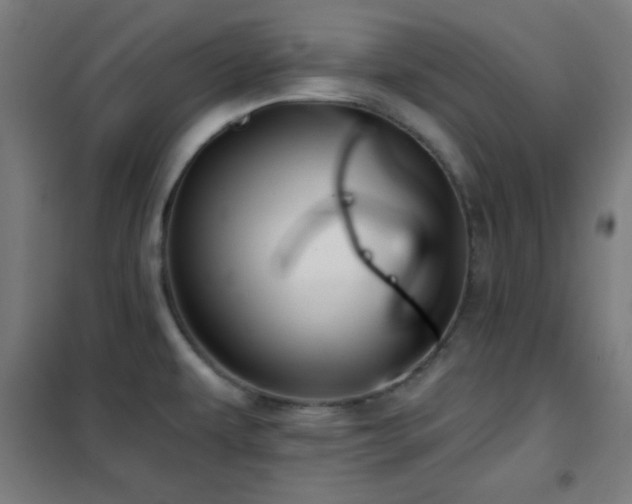 X0000102281479200807251347