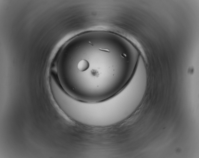 X0000102281480200807251347