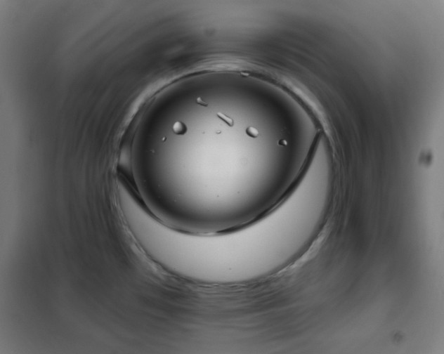 X0000102281481200807251347