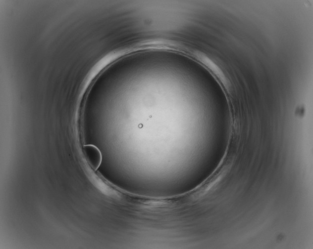 X0000102281482200807251347