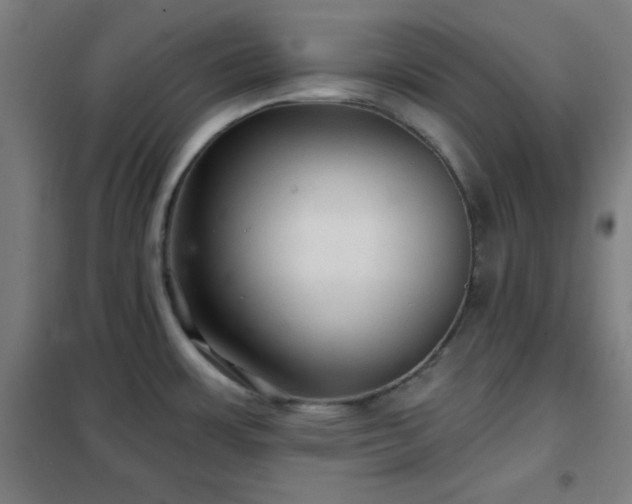 X0000102281483200807251347