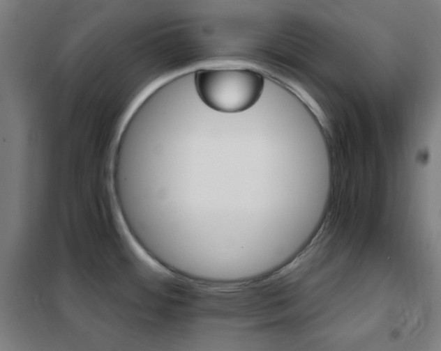 X0000102281484200807251347