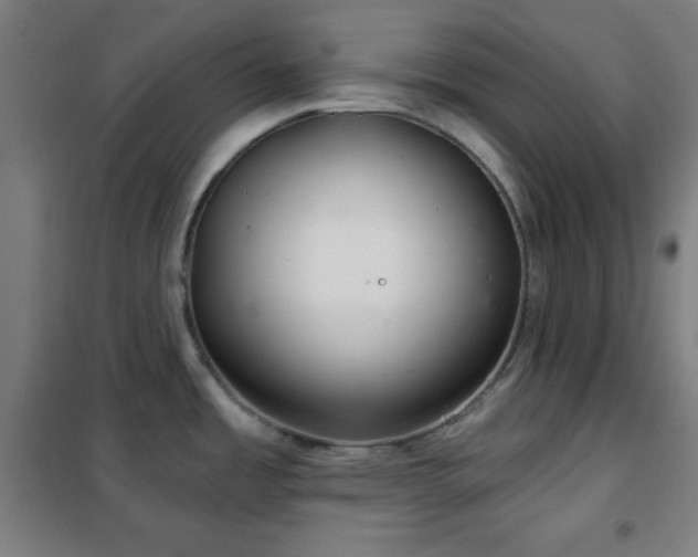 X0000102281485200807251347