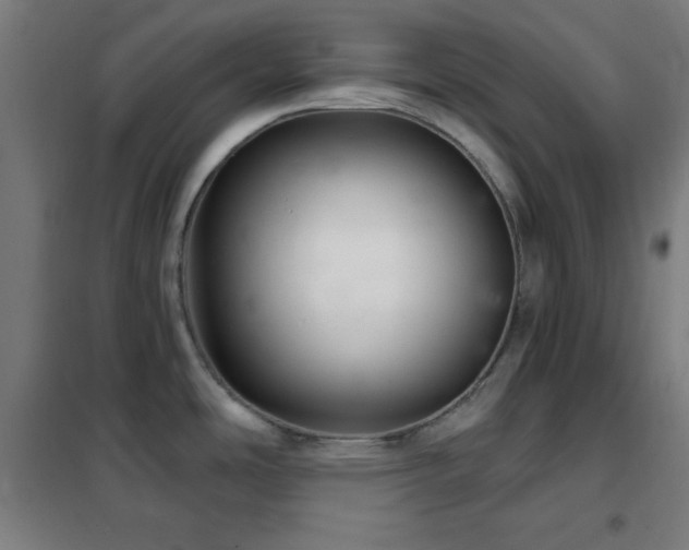 X0000102281486200807251347