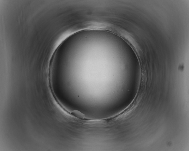 X0000102281487200807251347