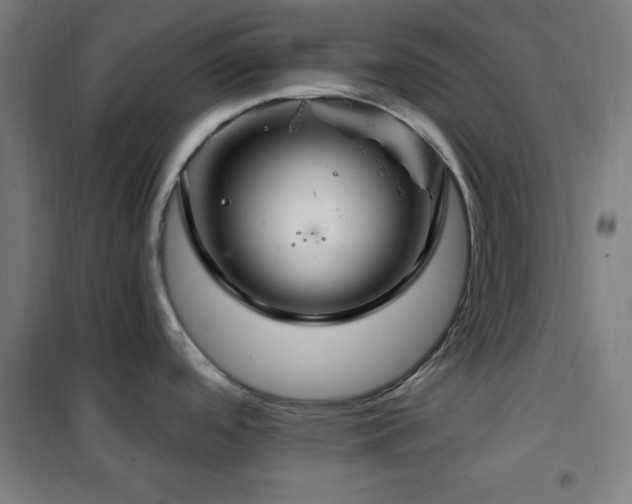 X0000102281488200807251347