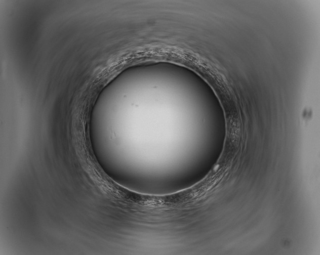 X0000102281489200807251346