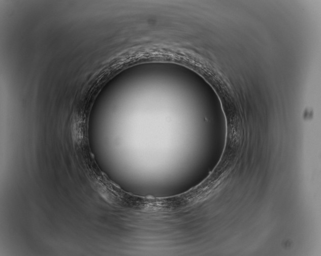 X0000102281490200807251346