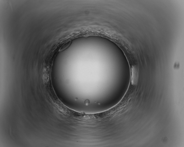 X0000102281491200807251346
