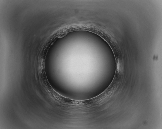 X0000102281492200807251346