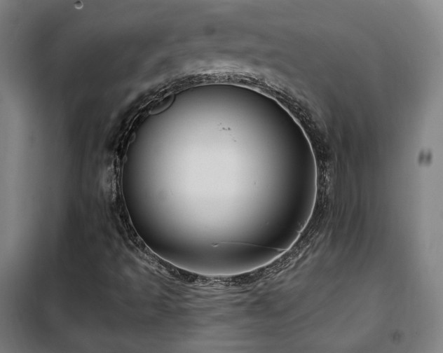 X0000102281493200807251346