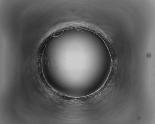X0000102281496200807251346