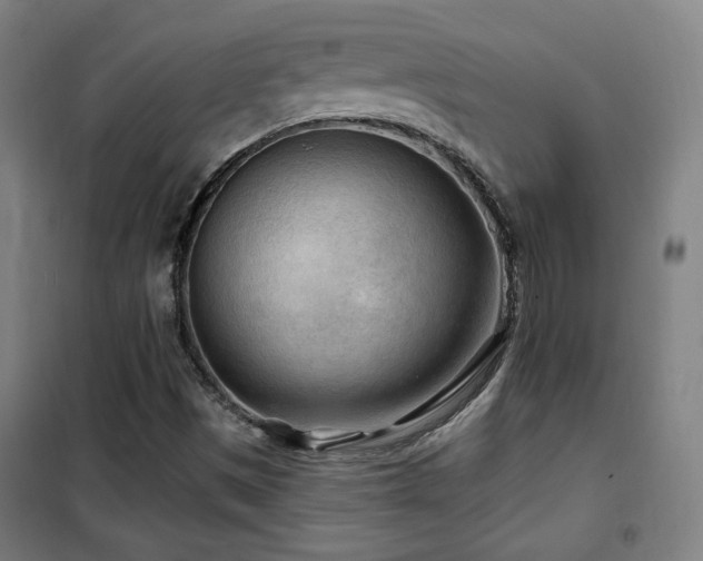 X0000102281497200807251346