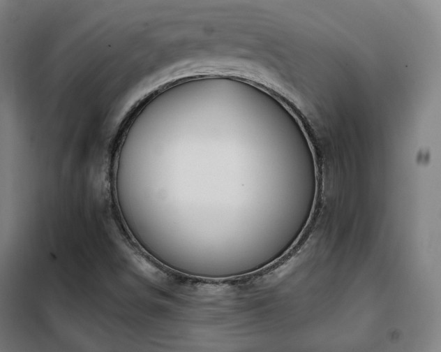 X0000102281498200807251346