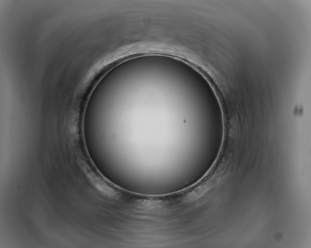 X0000102281499200807251346