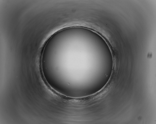 X0000102281500200807251346