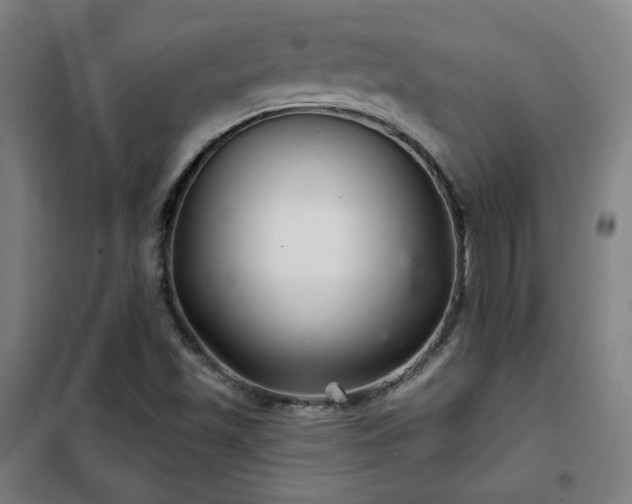 X0000102281501200807251346