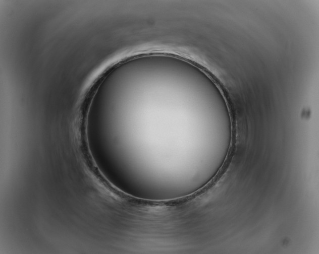 X0000102281502200807251346
