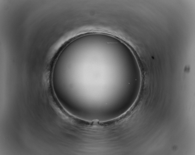 X0000102281503200807251346