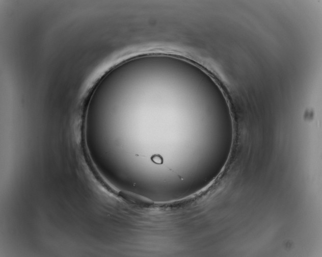 X0000102281504200807251346