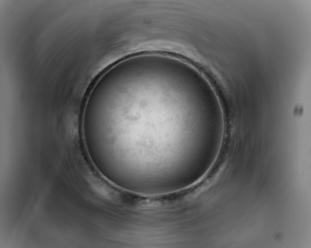 X0000102281505200807251346