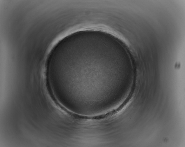 X0000102281506200807251346