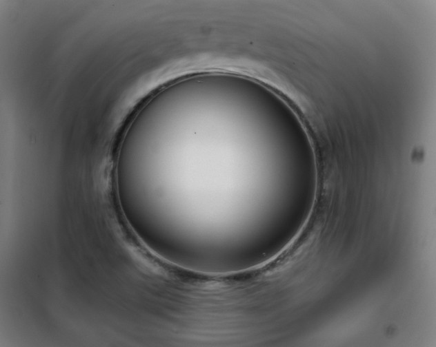 X0000102281507200807251346